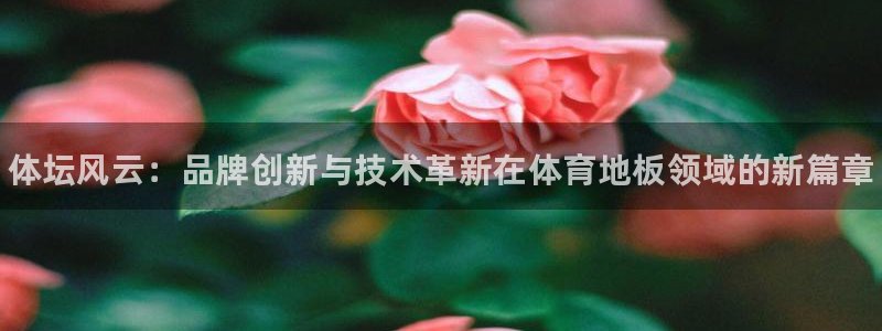 米兰体育官网下载平台注册要钱吗安全吗：体坛风云：品牌