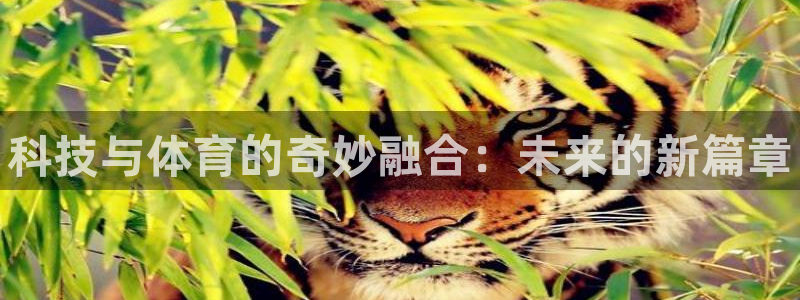 米兰体育官网下载平台：科技与体育的奇妙融合：未来的新
