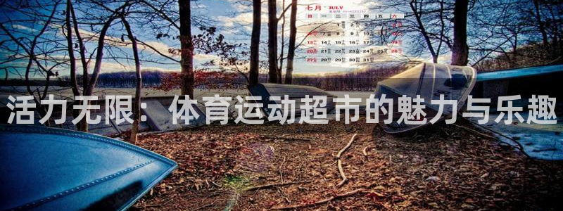 米兰体育官网下载平台假的吗是真的吗吗：活力无限：体育