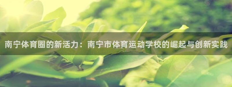 米兰体育官网下载招商电话是多少：南宁体育圈的新活力：