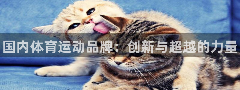 米兰体育官网下载平台注册：国内体育运动品牌：创新与超