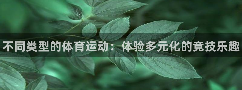 米兰体育官网下载开户：不同类型的体育运动：体验多元化