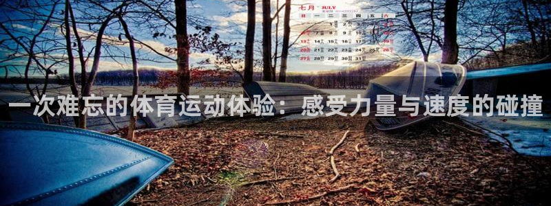 米兰体育官网下载平台注册流程图：一次难忘的体育运动体
