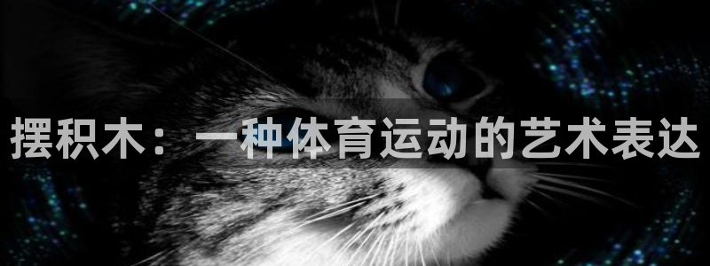 米兰体育官网下载平台注册要钱吗：摆积木：一种体育运动