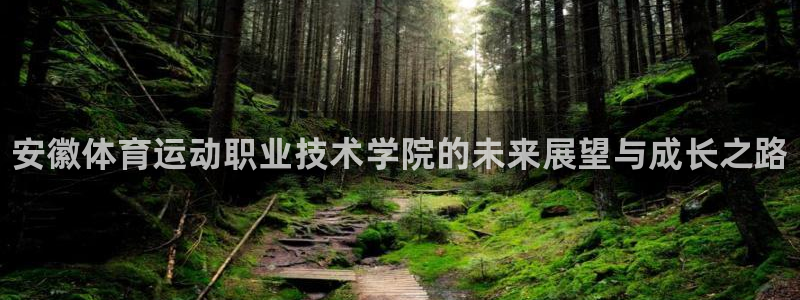 米兰体育官网下载软件：安徽体育运动职业技术学院的未来展望与成