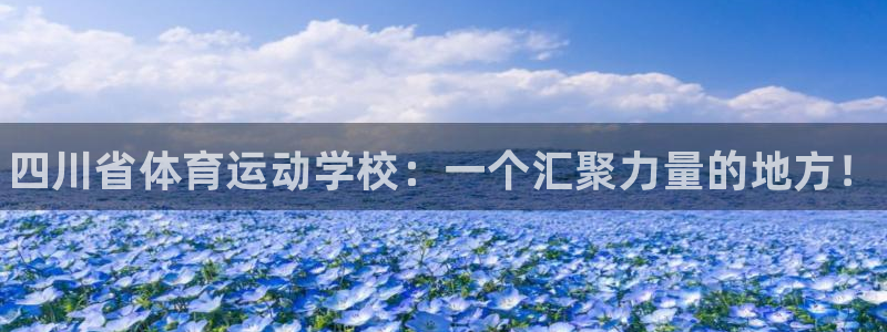 米兰体育官网下载平台注册流程图：四川省体育运动学校：