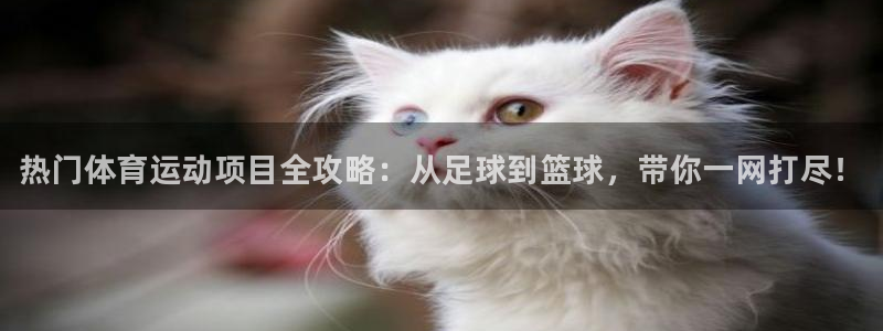 米兰体育官方平台体育