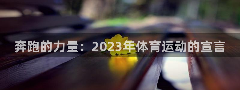 米兰体育官方正版app集团简介：奔跑的力量：2023年体育运