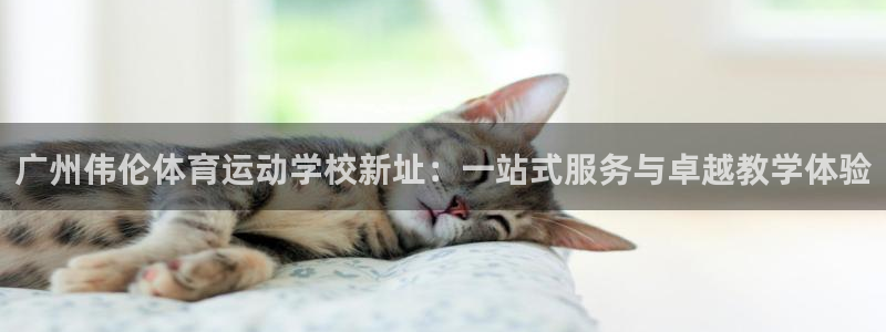 米兰体育官网下载娱乐：广州伟伦体育运动学校新址：一站式服务与