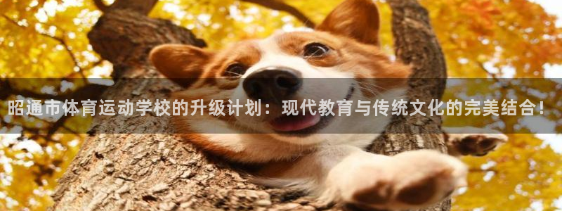米兰体育官网下载招商电话是多少啊：昭通市体育运动学校的升级计