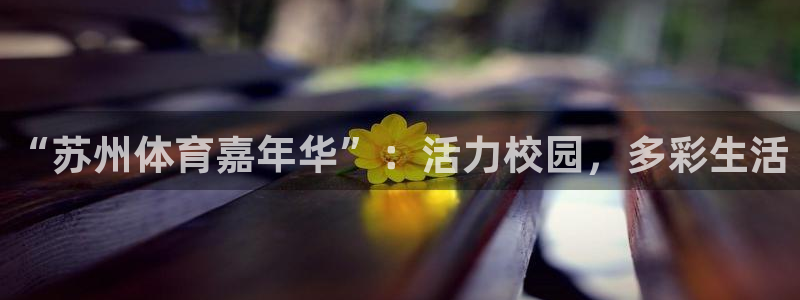 米兰体育官方正版app五金厂：“苏州体育嘉年华”：活力校园，