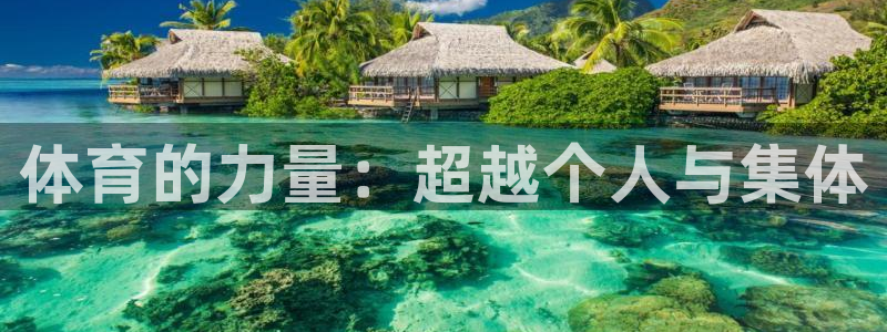 米兰体育官网下载平台APP：体育的力量：超越个人与集体