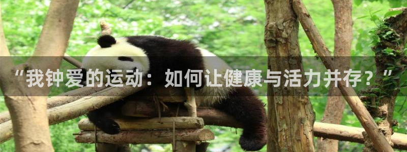 米兰体育官网下载平台APP：“我钟爱的运动：如何让健