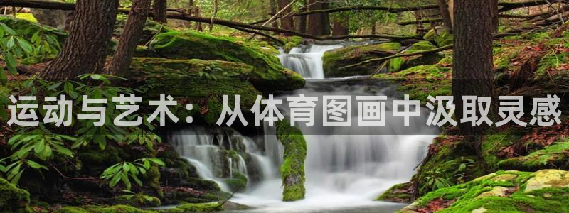 米兰体育官网下载平台是正规平台吗知乎：运动与艺术：从体育图画