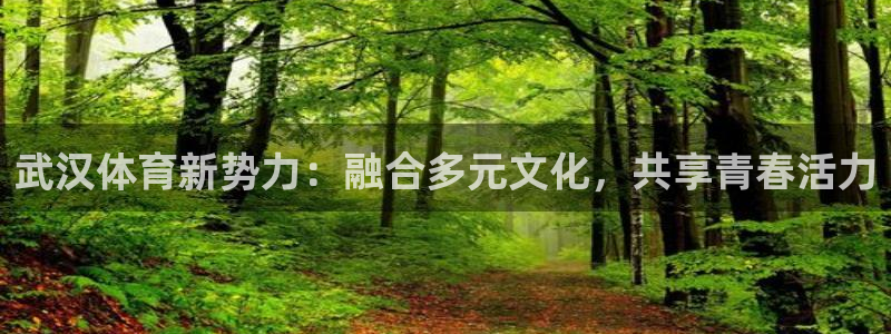 米兰体育官方正版app科技：武汉体育新势力：融合多元文化，共