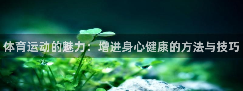 米兰体育直播app下载安装最新版本：