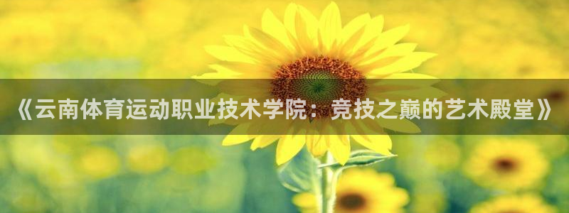 米兰体育与瓦伦西亚合作了吗：《云南体
