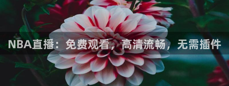 上海体育频道五星体育台在线直播：NBA直播：免费观看，高清流畅，无需插件