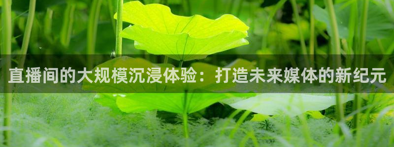 五星体育世界杯：直播间的大规模沉浸体验：打造未来媒体的新纪元