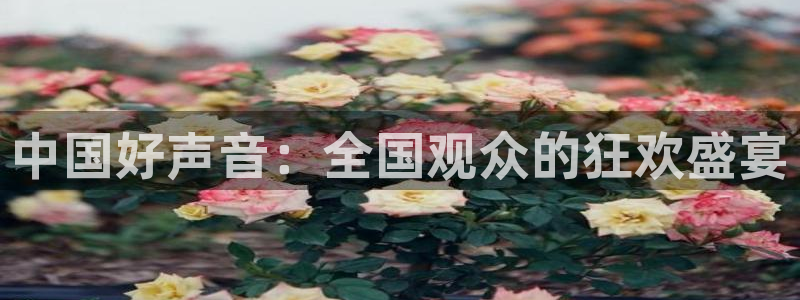 五星体育弈棋耍大牌直播：中国好声音：全国观众的狂欢盛宴