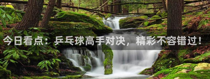 f12020赛程表直播五星体育：今日看点：乒乓球高手对决，精彩不容错过！