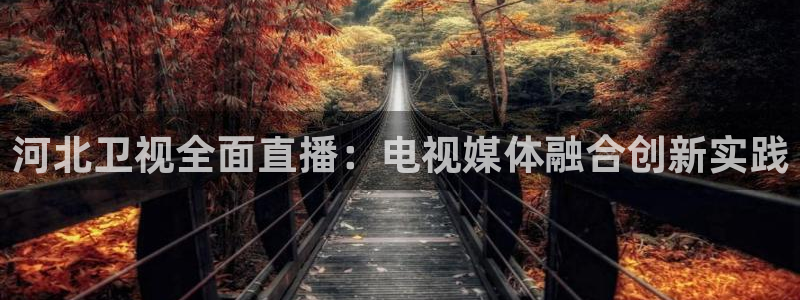 今晚五星体育：河北卫视全面直播：电视媒体融合创新实践