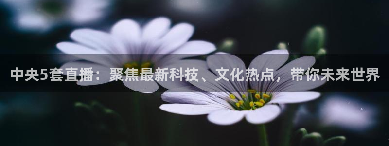 上海五星体育nba直播：中央5套直播：聚焦最新科技、文化热点，带你未来世界