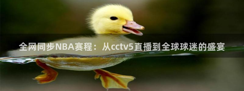 五星体育直播体：全网同步NBA赛程：从cctv5直播到全球球迷的盛宴